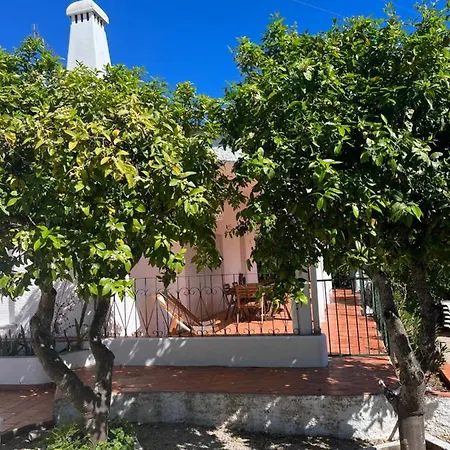 Beautiful Private With Pool, Boliqueime, Loule Villa *